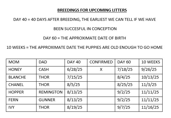 Current Breeding List